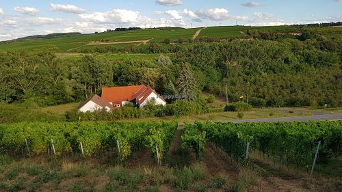 Der Ausblick von der Hotelterrasse at Weingut Trautwein - Restaurant & Hotel in Flonheim