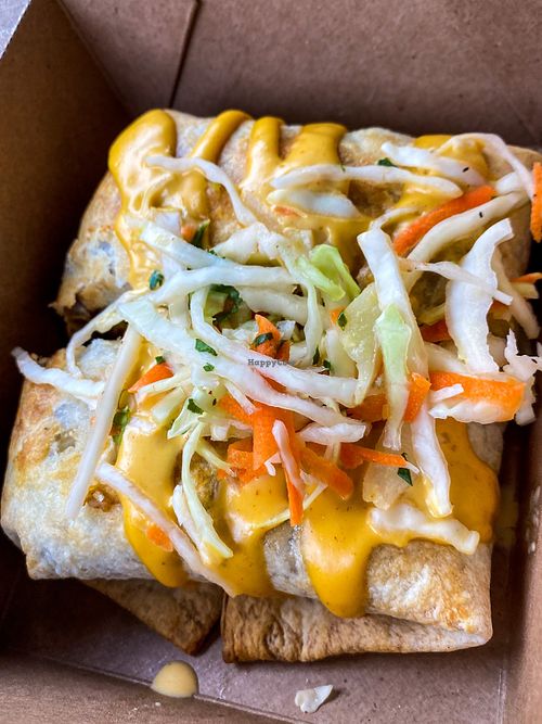 Tortuga at Two Dollar Radio Headquarters in Columbus