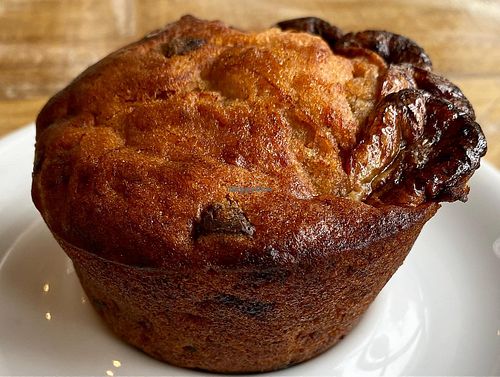 Muffin at Two Dollar Radio Headquarters in Columbus