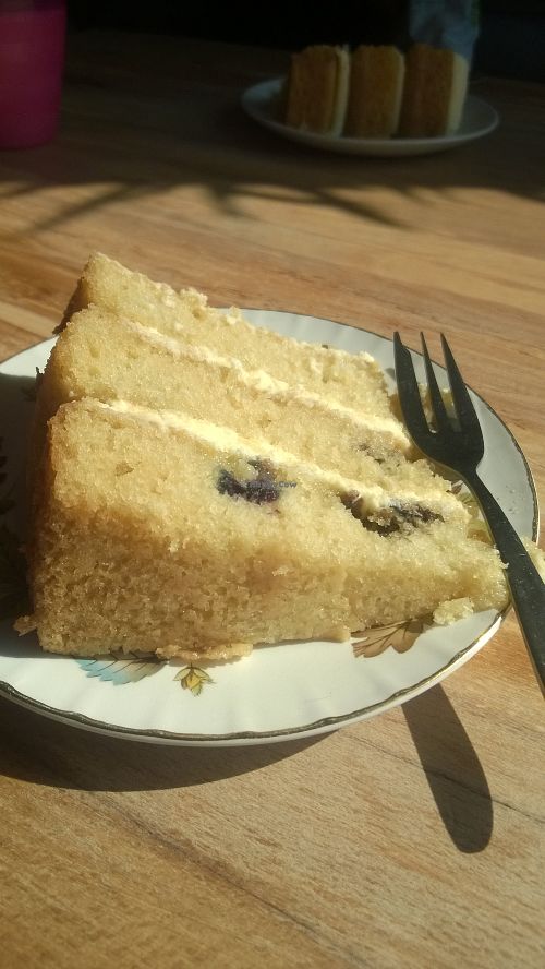 Lemon and blueberry cake at Shoe Tree Cafe in Newcastle Upon Tyne
