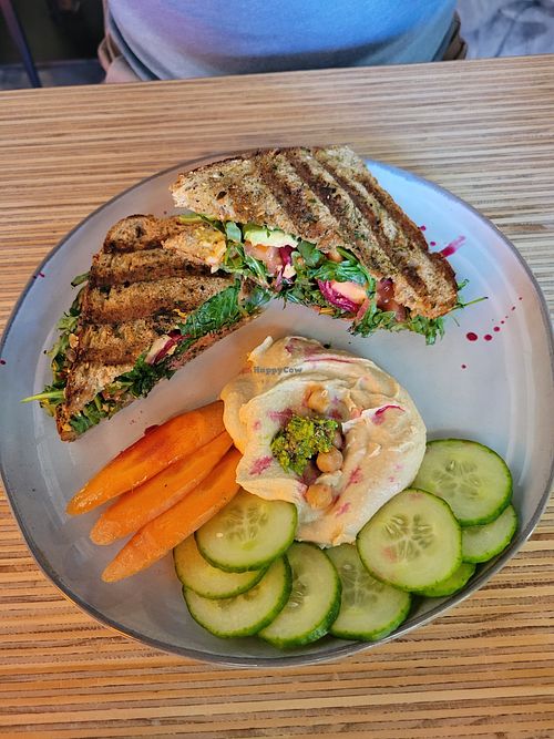 Panini with Hummus at Cafe Nutrients in Naples