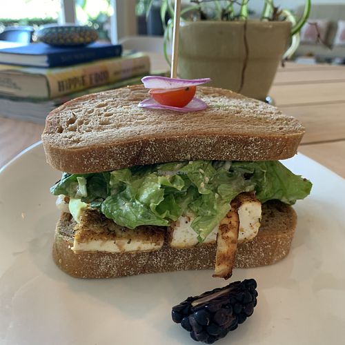 Vegan club sandwich with avo, tofu, ranch.  at Cafe Nutrients in Naples