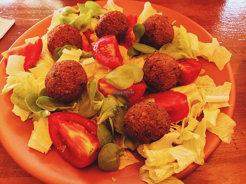 Falafel at Cafe Beirut in Istanbul