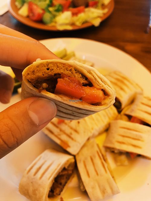 Vegan Doner/Kebab (Seitan) at Cafe Beirut in Istanbul