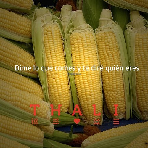 Maiz at Thali in Bogota