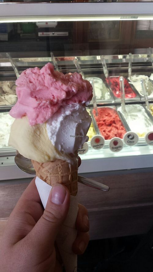 The actual ice cream. With signs stating "senza latte" in the background. at La Bottega del Gelato in Pisa