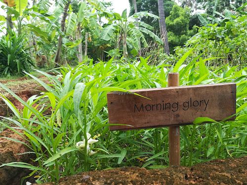 garden at Blue Lotus Hua Hin in Pak Nam Pran
