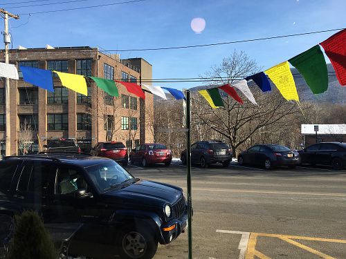 Freedom flags flying outside  at Vegetalien in Beacon