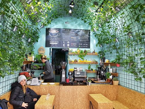 Location  at VanFruct Campineanu in Bucharest