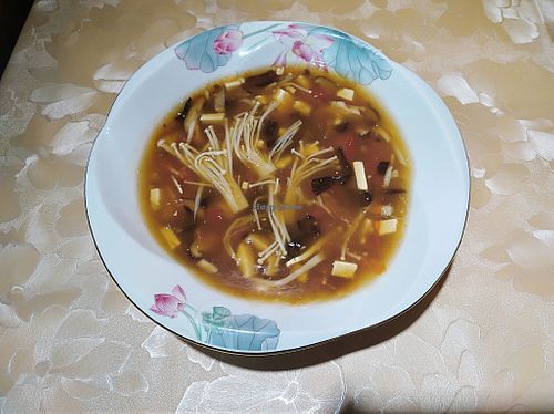 shroom at A Mi Tuo Fo Su Xin Yuan 阿彌陀佛素心園 in New Territories