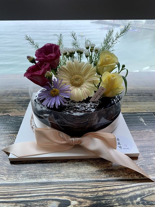 Image of Oktoga - 옥토가