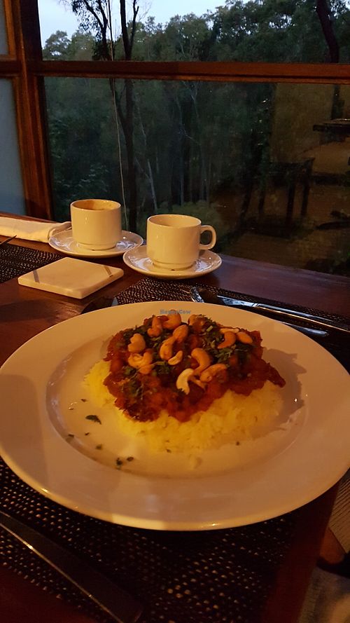 Moroccan curry at Country Delights Natural Foods in Cooranbong