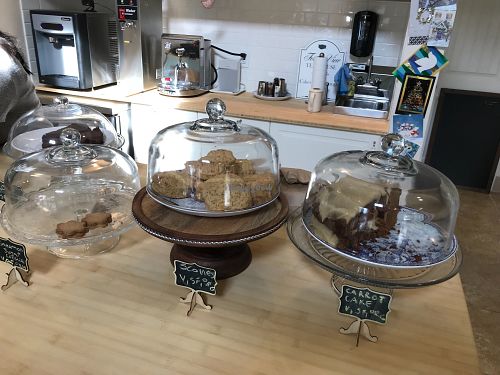 Forest View Tea House at Forest View Tea House in Idyllwild