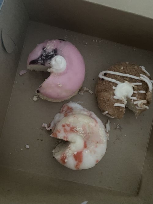 Amazing donuts 🍩   at HaleLife Bistro & Bakery in St Petersburg