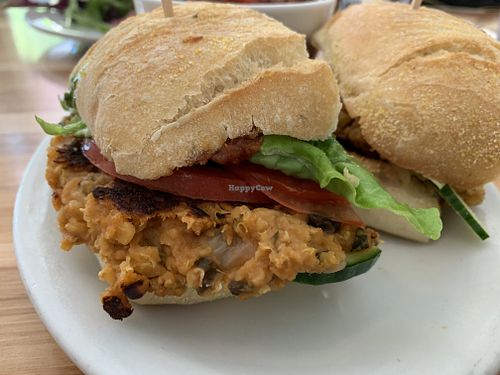 Lintel burger at Tea Room Cafe in Petaluma