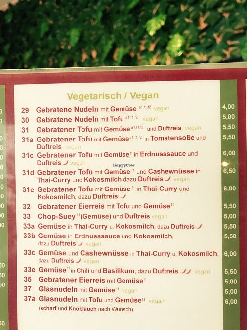 The vegan option  at Phuong Hong Asia Bistro in Neuruppin