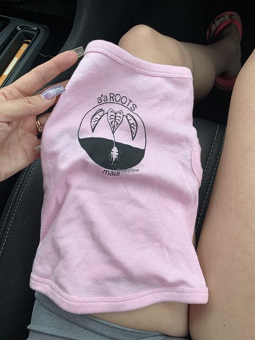 Cute little onesie for our rescue chihuahua   at a'a Roots Health Cafe in Lahaina