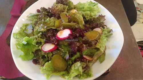 Salad 67. Normally it has asparagus but this time they added pickles instead at Cafe Bar 67 in Athens