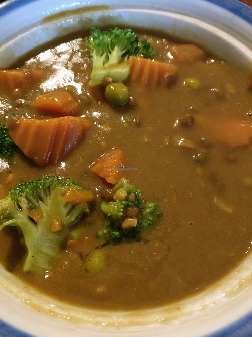 Japanese curry at Madame K's Vegetarian - Williamstown in Williamstown