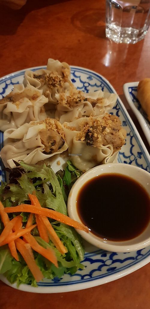 Wontons at Madame K's Vegetarian - Williamstown in Williamstown