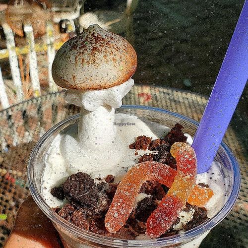 Most magical creation ever at MIlky Way Shakes in Austin