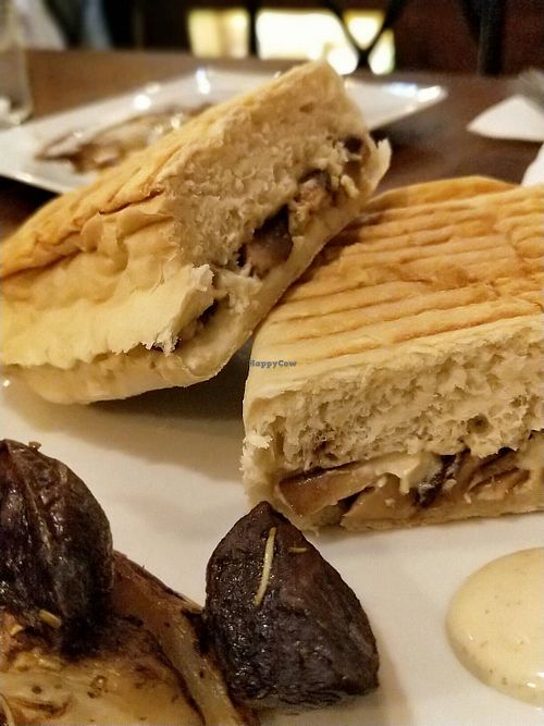 Panini at VegFarm - Wú Guójiè Shū Shí in Taichung