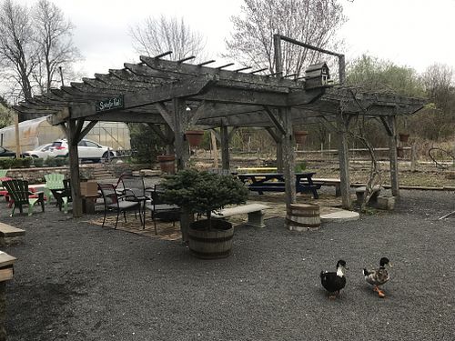 Outdoor seating  at Greenhouse Cafe & Tavern in Burlington