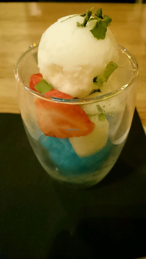 vegan ice creation (not listed on menu)  at Babylon in Heerhugowaard