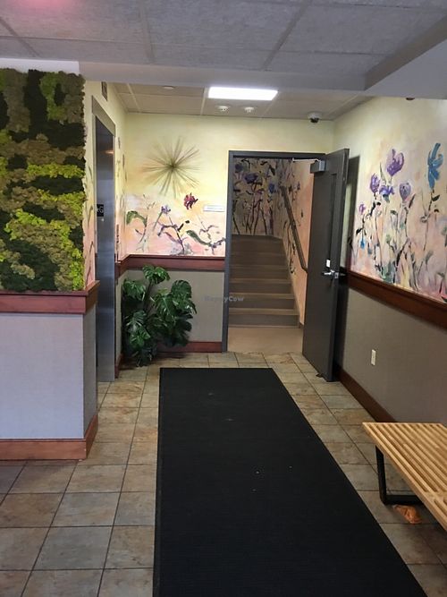 Flora West Hartford Connecticut Restaurant HappyCow