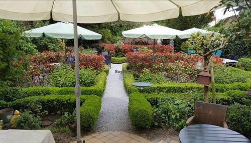 Der tolle Garten  at Cafe Moller in Unna