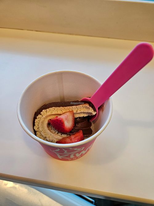 Vegan chocolate peanut butter fudge with 🍓 at Kiwi Yogurt in Pottstown