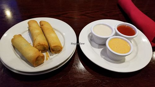 Vegetables spring rolls at Red Bowl Asian Bistro in Florence