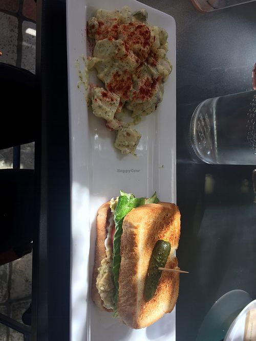 “Tuna” sandwhich with potato salad at VegaBoo Cat Haven in Regina