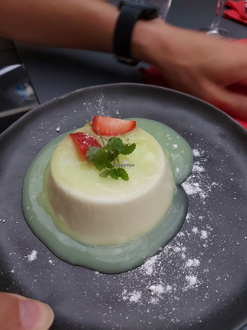 Panacotta : not sweet enough for us at Like An Elephant in Lyon
