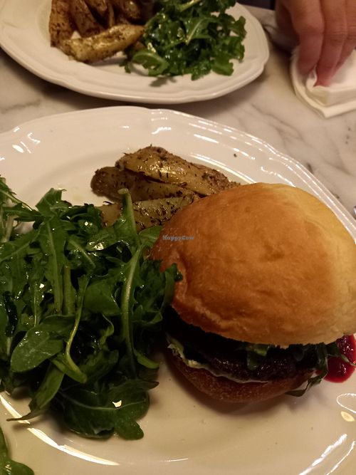  at Like An Elephant in Lyon