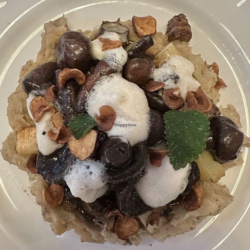 Mushrooms in red wine saucee  at Like An Elephant in Lyon