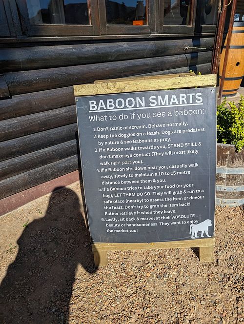  at Vegan Goods Market in Cape Town