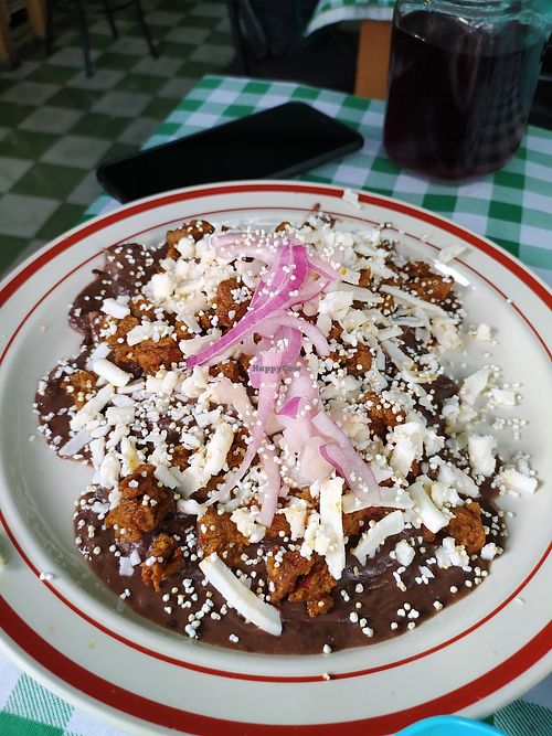 Enfrijoladas at Boris Vegan Club in Mexico City