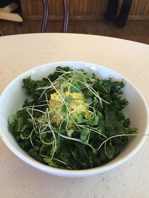 Warm green breakfast bowl at The Vegan Nest in Clinton