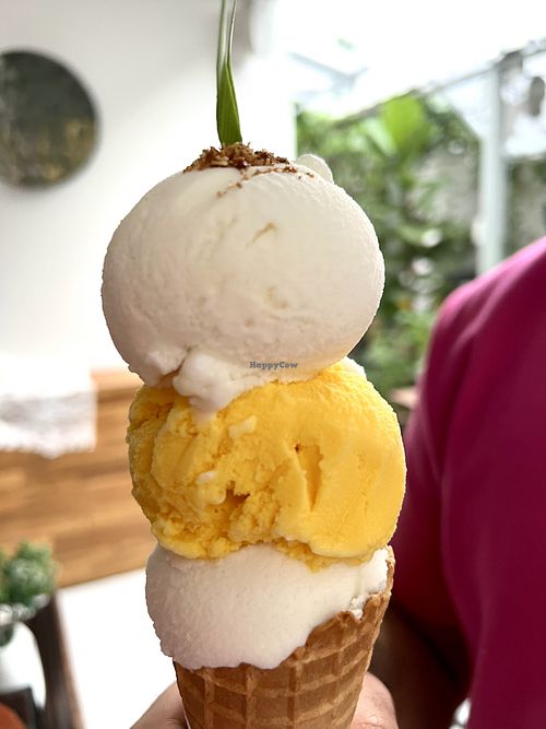   at Coco Mango The Garden in Chiang Mai