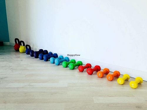 Weight used in classes and training, love the colours! at Holly Barber Personal Training in Barcelona