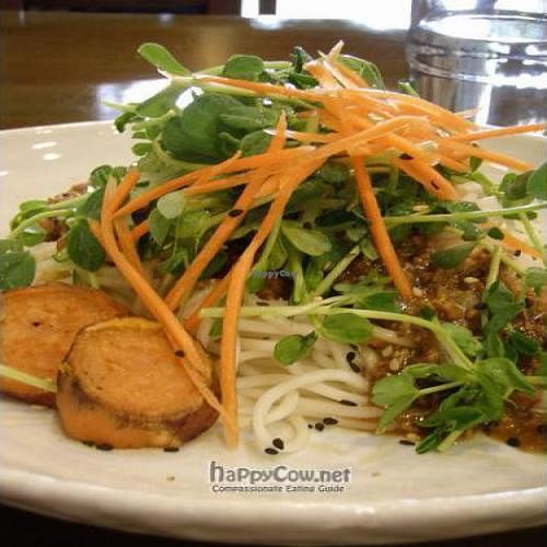 Zha Jiang Noodle (with Organic Veggies/tahini Paste) at LivinGreens in Central Singapore