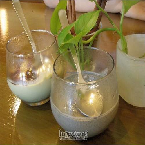 Avocado Pudding and Black Sesame Pudding at LivinGreens in Central Singapore