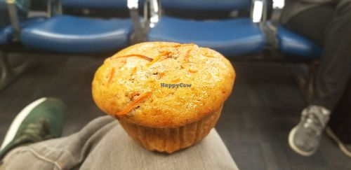 Vegan carrot muffin at CLE - Inca Tea Cafe - TB in Cleveland