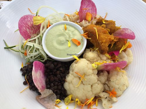 Moroccan Bowl at Plant Miami in Miami