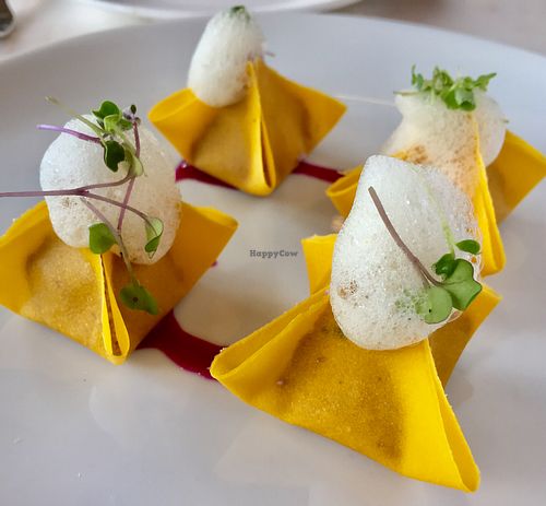 Harvest dumplings: a must try dish! at Plant Miami in Miami