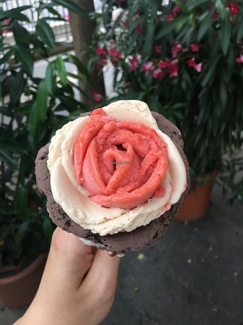   at Gelarto Rosa - Szent István in Budapest