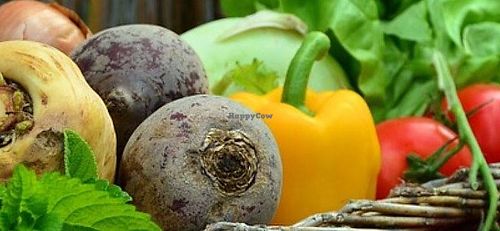 Banner at  Zelena Avenija in Zagreb