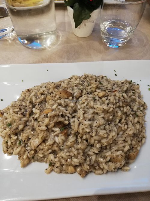 Vegan porcini and truffle risotto at Ristoro Della Salute in Rome