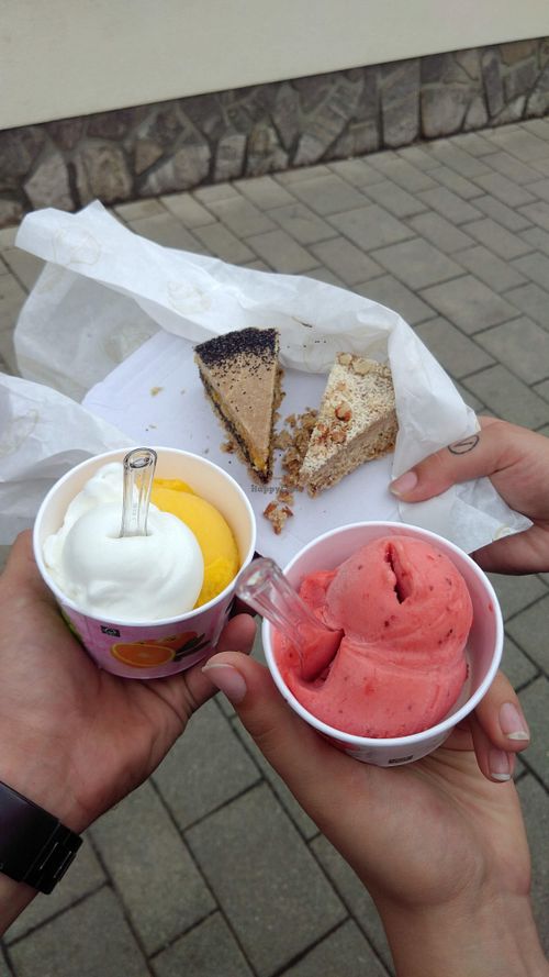 A few different ice cream Flavors which were all very tasty and Rafaello and poppy seed cake which were also super yummy! at La Dolce Vita - Natur Konditorei in Neusiedl Am See